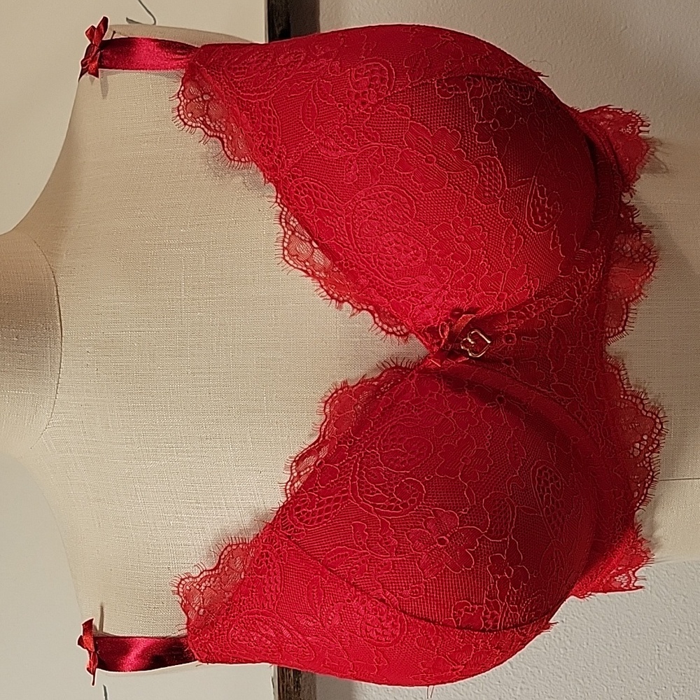 Elegant Red Lace Bra - Picture 3 of 12